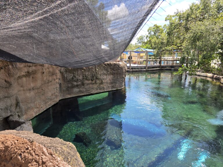 Zoo Tampa